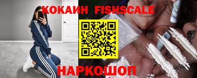 тгк Кингисепп