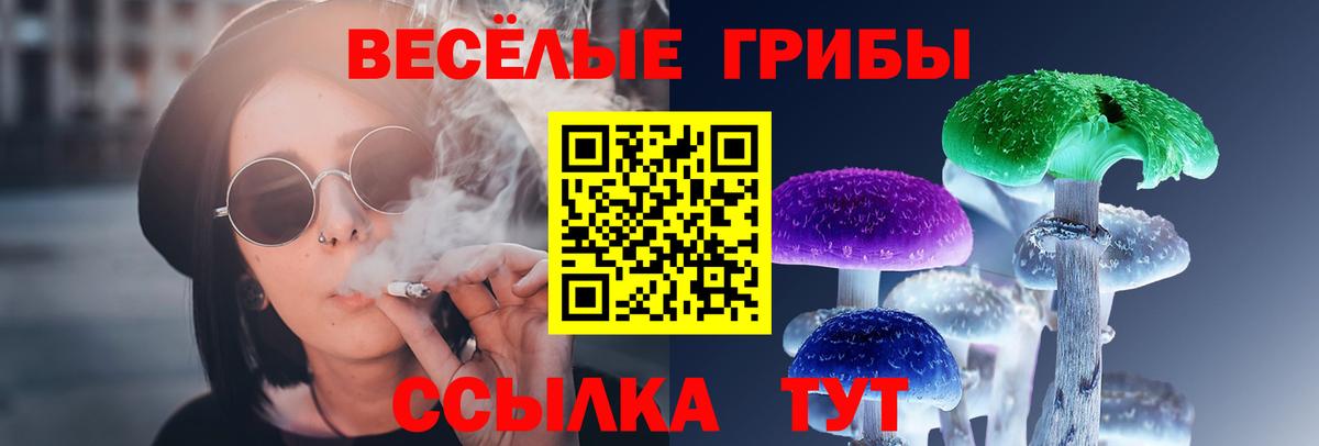 Псилоцибиновые грибы мухоморы Арзамас